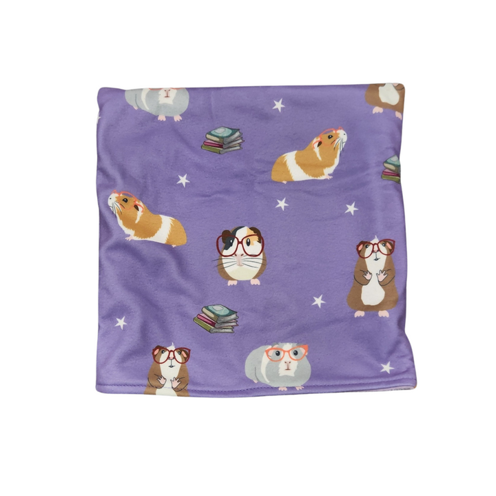 Snuggle Sack - Smart Piggies