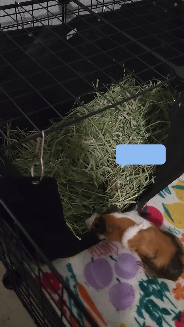 Hayzee Original- Hay Holder