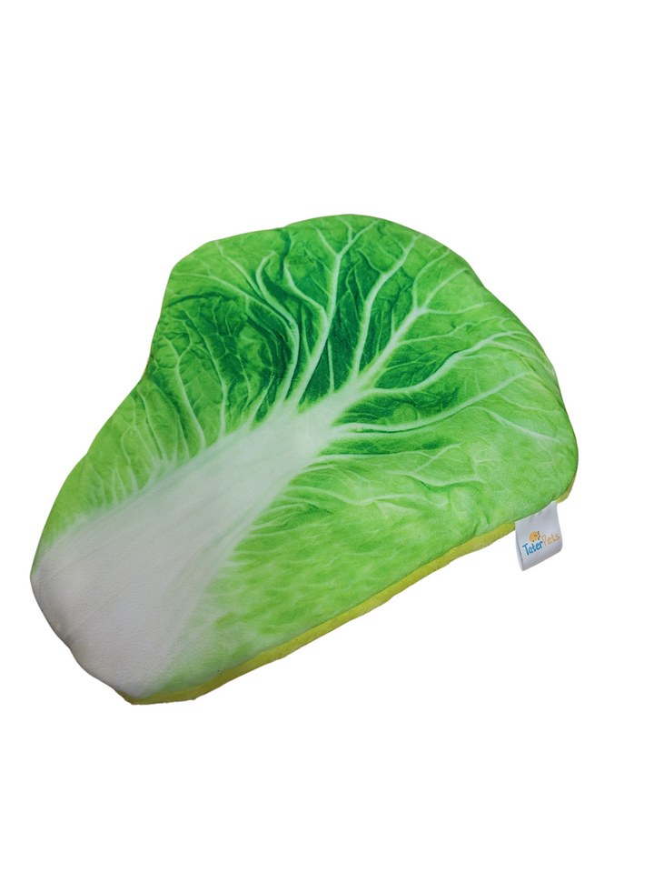 Lettuce Bed
