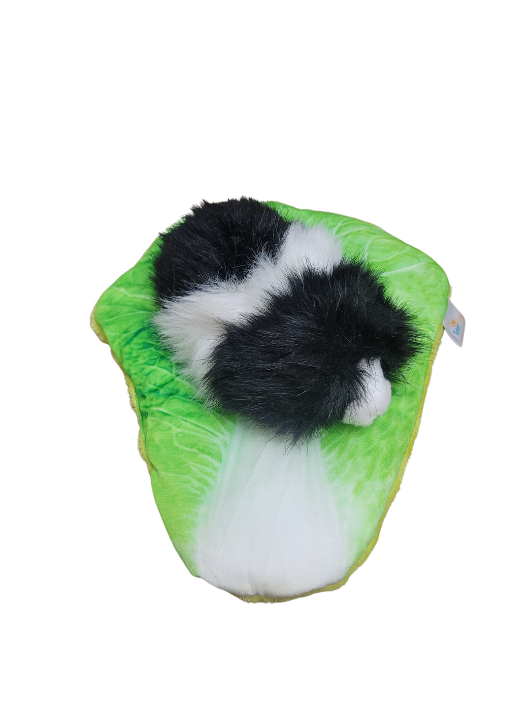 Lettuce Bed