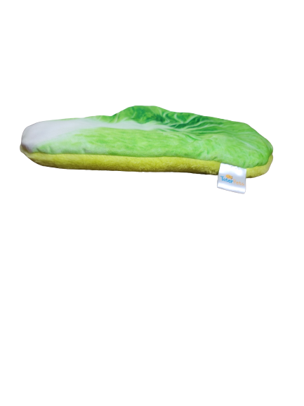 Lettuce Bed