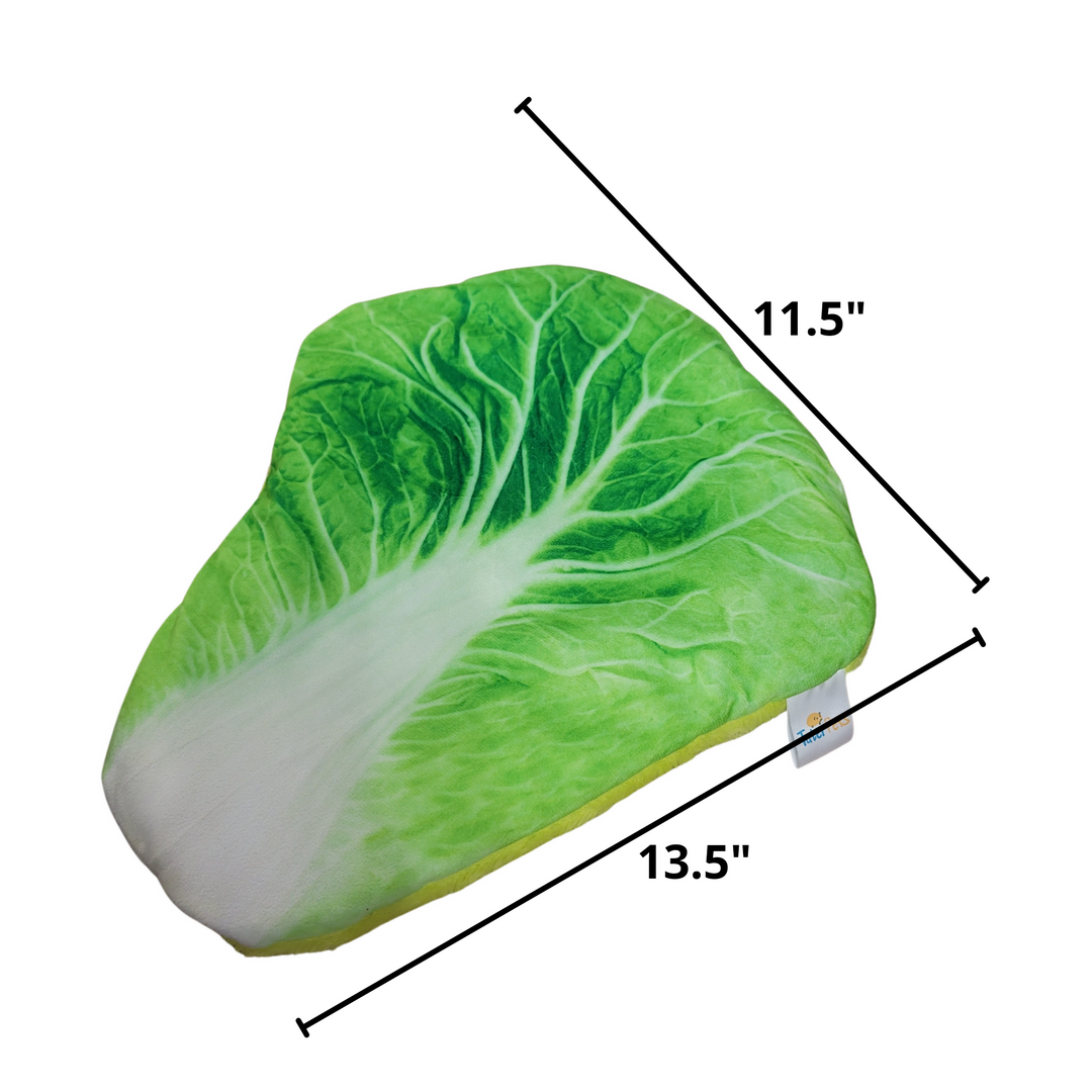 Lettuce Bed