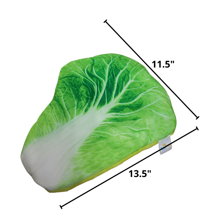 Lettuce Bed