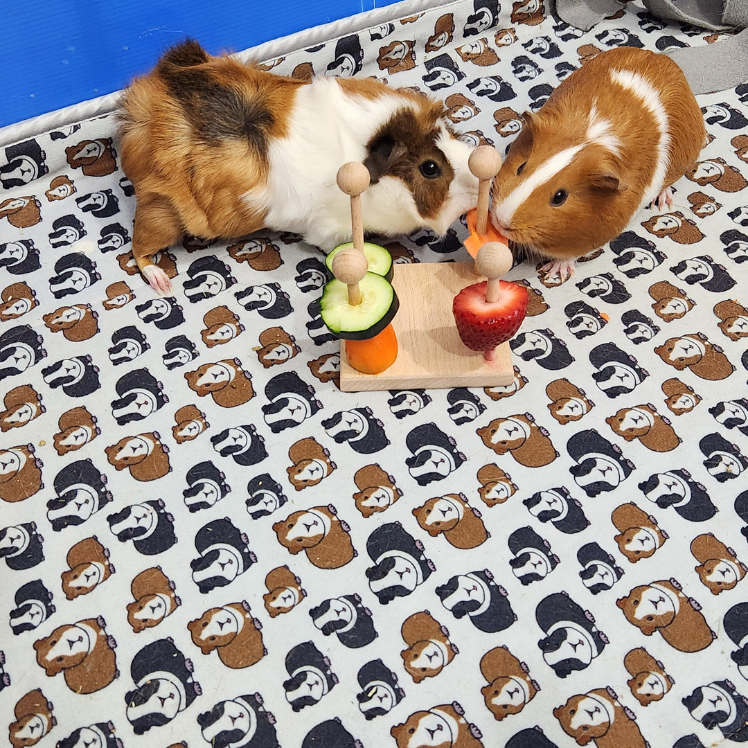 Hanging Enrichment Toy