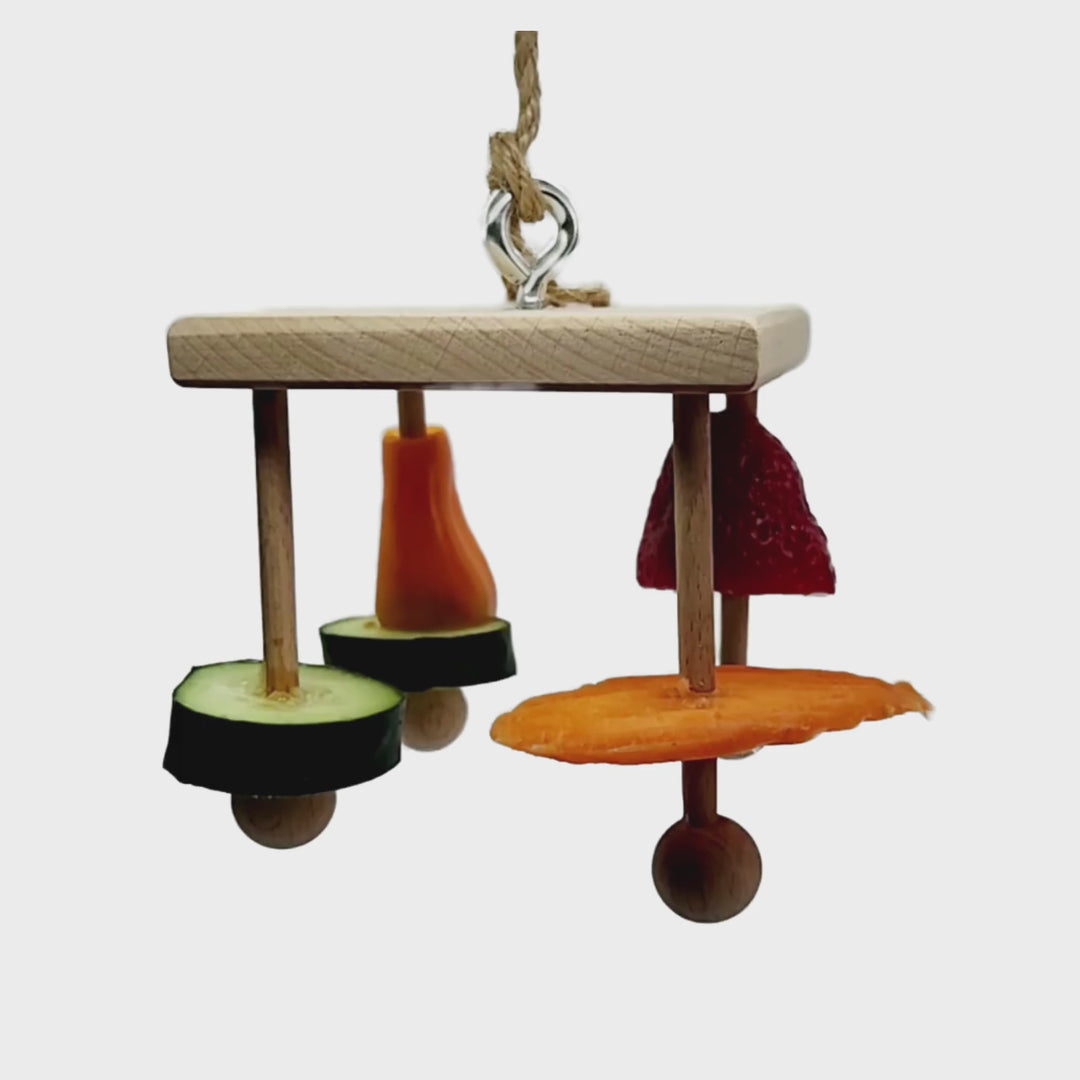 Hanging Enrichment Toy
