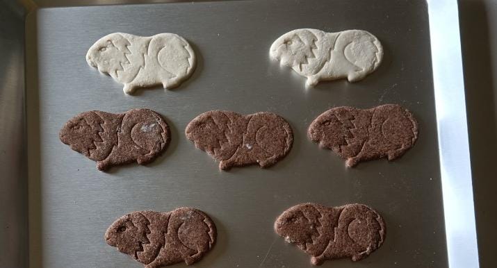 Guinea Pig Cookie Cutter (2 Pack) Basic Outline and Detailed Embossed Cutter - Stainless Steel