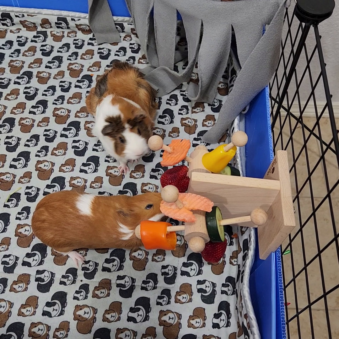 Two Turntable Enrichment Toy