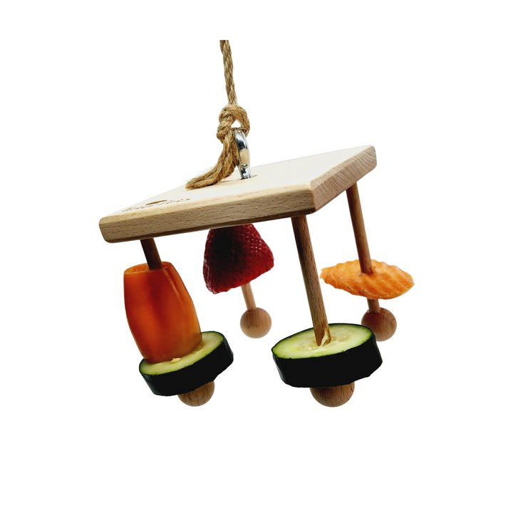 Hanging Enrichment Toy