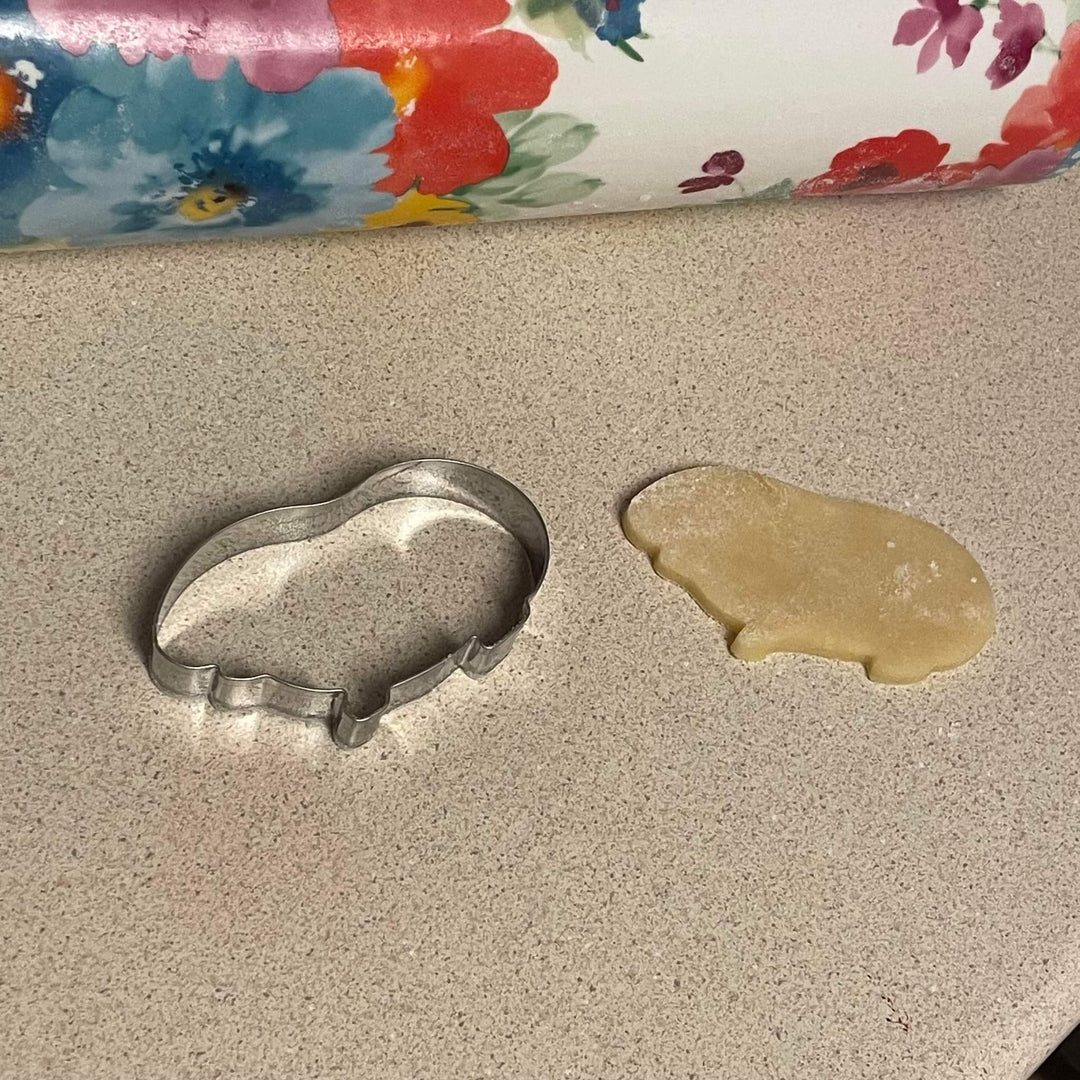 Guinea Pig Cookie Cutter (2 Pack) Basic Outline and Detailed Embossed Cutter - Stainless Steel